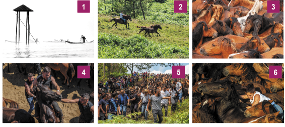 C'est le mois de la photo aux Expos du Château du samedi 2 au dimanche 24 novembre C'est le mois de la photo aux Expos du Château du samedi 2 au dimanche 24 novembre