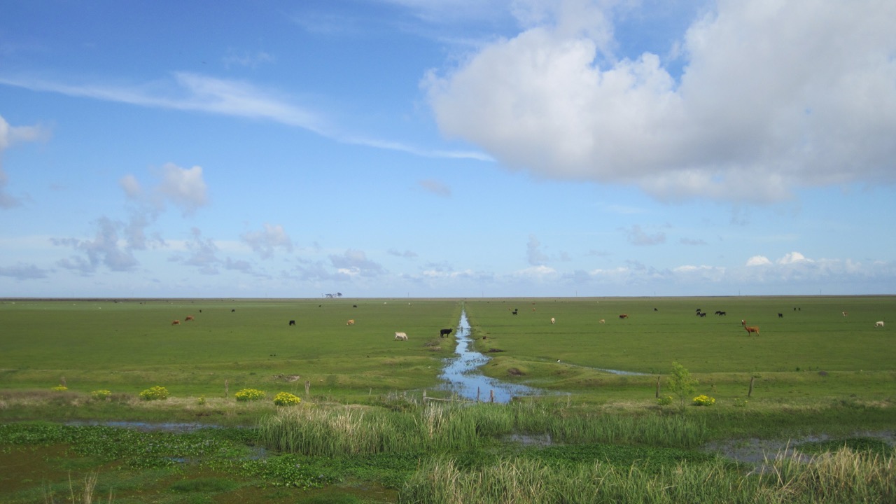 Franck Degoul et l’aventure brésilienne Franck Degoul et l’aventure brésilienne