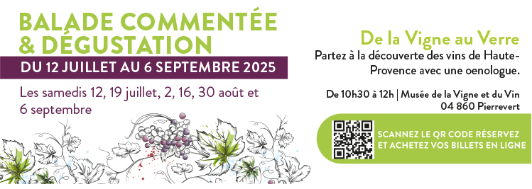 DE LA VIGNE AU VERRE, 4E ÉDITION POUR LA BALADE COMMANTÉE ET UNE DÉGUSTATION...