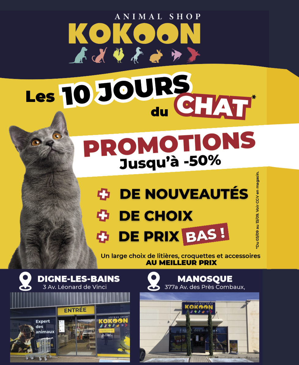 DAFF & Kokoon : 20 ans  de passion au service  du bien-être animal