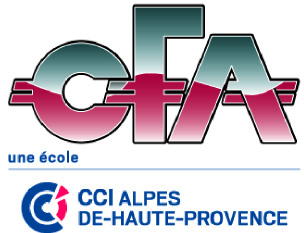 CFA de la CCIT aller plus loin ensemble