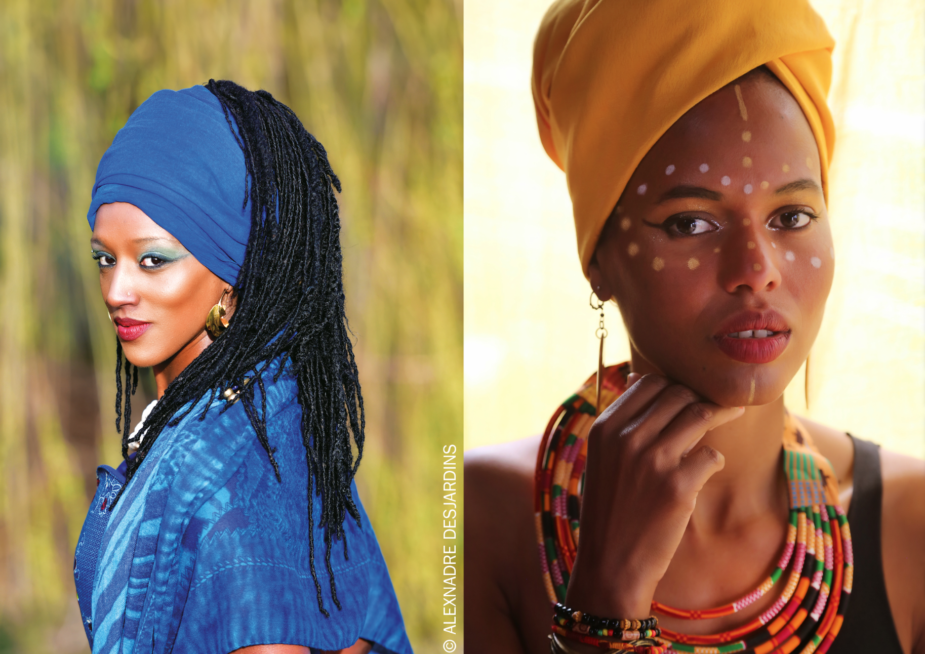 Découvrez notre  programmation du mois de novembre