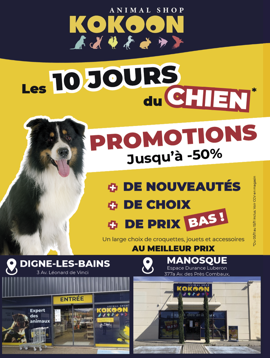 DAFF & Kokoon : 20 ans  de passion au service  du bien-être animal DAFF & Kokoon : 20 ans  de passion au service  du bien-être animal