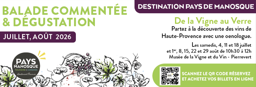 De la vigne au verre :  une balade qui sent bon le terroir à Pierrevert