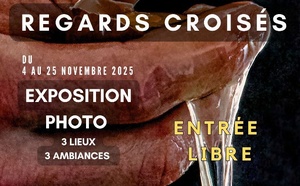 Mois de la photo, 4è édition du 4 au 25 novembre 2025