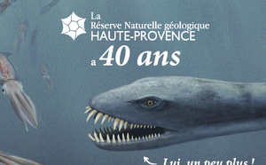 Mai dans les Musées Départementaux : Un Printemps entre Nature et Histoire