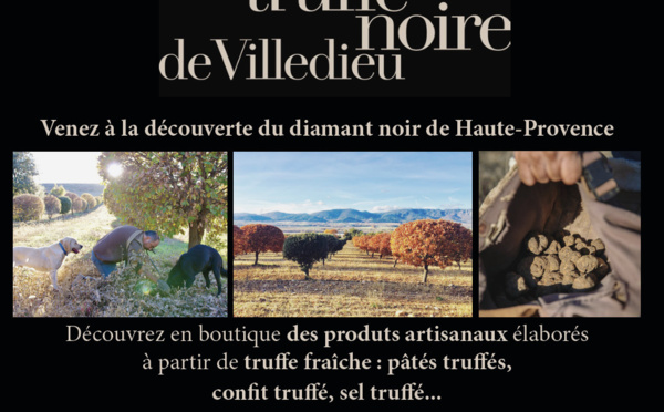 LA TRUFFE NOIRE DE VILLEDIEU, LA TRUFFE S’INVITE POUR LES FÊTES...