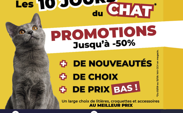 DAFF &amp; Kokoon : 20 ans  de passion au service  du bien-être animal