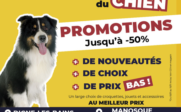 DAFF &amp; Kokoon : 20 ans  de passion au service  du bien-être animal