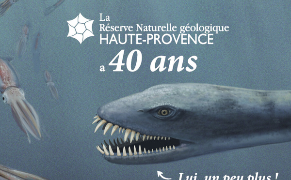 Mai dans les Musées Départementaux : Un Printemps entre Nature et Histoire