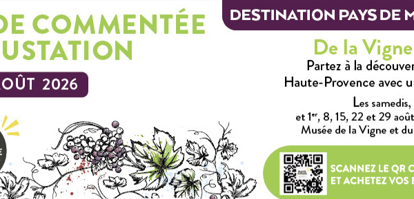 De la vigne au verre :  une balade qui sent bon le terroir à Pierrevert