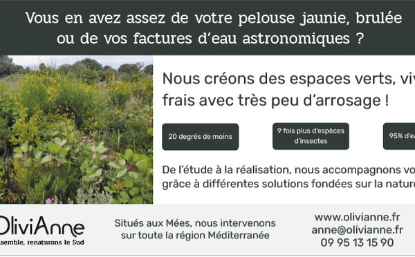 OliviAnne, spécialiste de la renaturation en milieu méditerranée