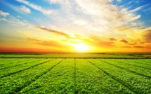 L'association Agribio 04