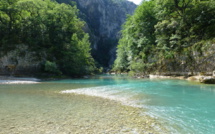 La Mescla