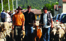 Fête de la Transhumance 2018