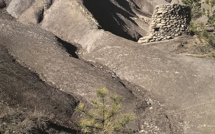 «Chaba»,  la nature pour atelier de création