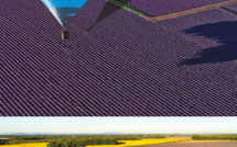 Vister la Provence en ballon cela vous tente ?