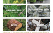 Egayez vos fêtes avec les sapins de chez Nature &amp; Paysage 🎄