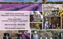 [Produits Locaux] Entre Valensole et Puimoisson  - Le lavandin : une histoire de famille pour "La Maison Angelvin"