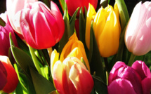Fleurir son jardin