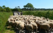 Fête de la transhumance