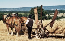 16e Fête des moissons