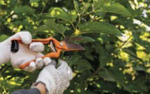 LES CONSEILS DE NATURE ET PAYSAGE POUR PRÉPARER SON JARDIN À L'ARRIVÉE DE L'AUTOMNE