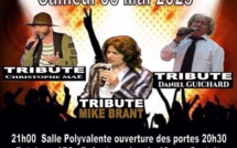LES SOSIES SONT DE RETOUR  à PIERREVERT ET À SAINTE TULLE en avril et en mai !