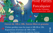 RENDEZ-VOUS AUX JARDINS DE L’ATELIER DU MILLE PATTES CATHERINE ET PIERRE PASTEAU FORCALQUIER DU 3 AU 11 JUIN 2023