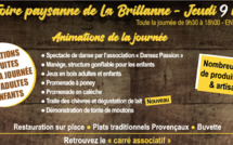 Foire de la Brillanne : 26è édition jeudi 9 mai 2024 !