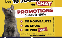 DAFF &amp; Kokoon : 20 ans  de passion au service  du bien-être animal