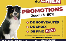 DAFF &amp; Kokoon : 20 ans  de passion au service  du bien-être animal