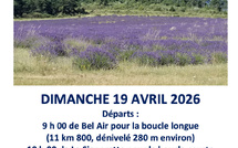 Rando de printemps : cap sur la vallée de St-Jeannet avec La Table Bleue !