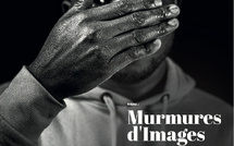 LE "FESTIVAL OFF" DES NUITS PHOTOGRAPHIQUES DE PIERREVERT